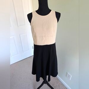 Ann Taylor Black and Cream Colorblock Fit and Flare Skater Dress - Sz. 8